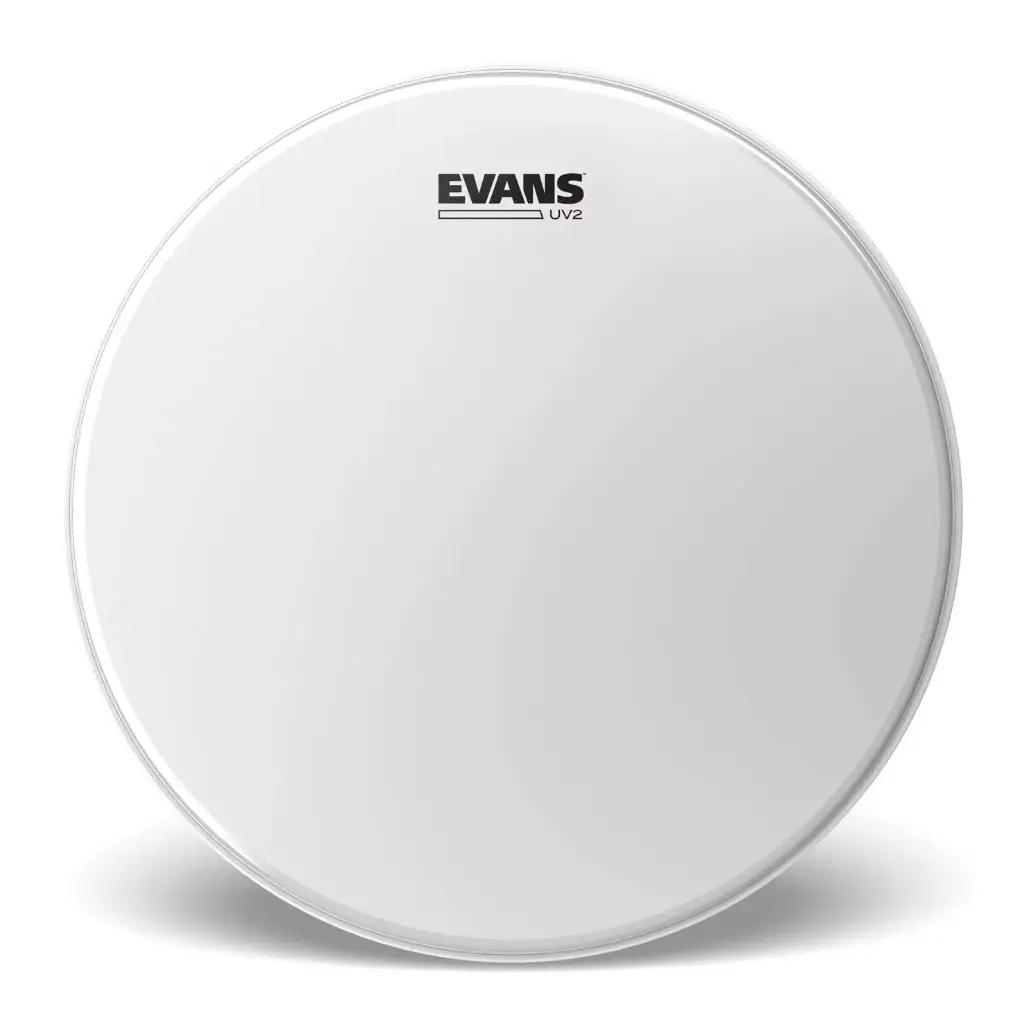 Evans B14UV2 - Peau de Caisse Claire 14'' - Durabilité et Performance